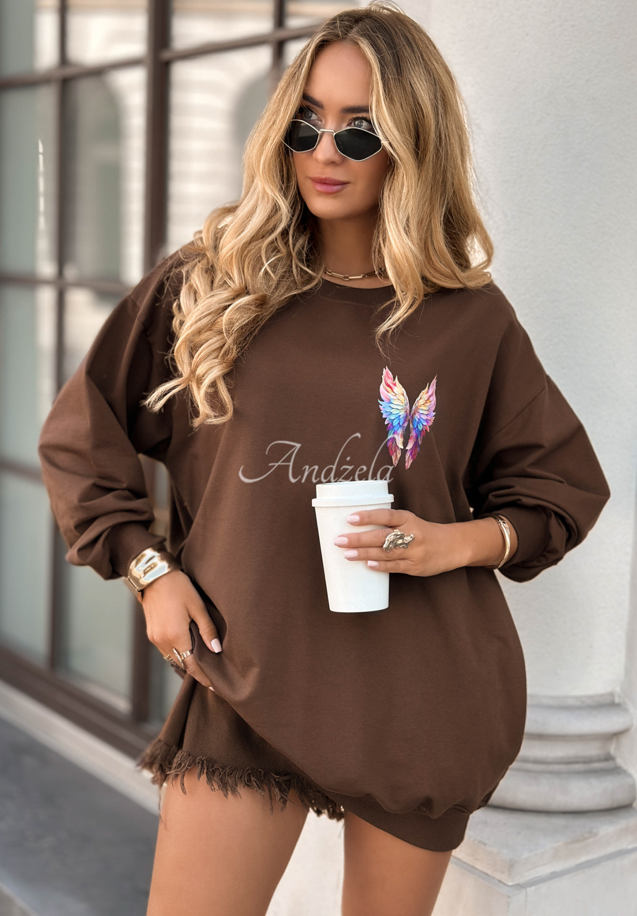 Mikina s potiskem Colorful Wings čokoládová
