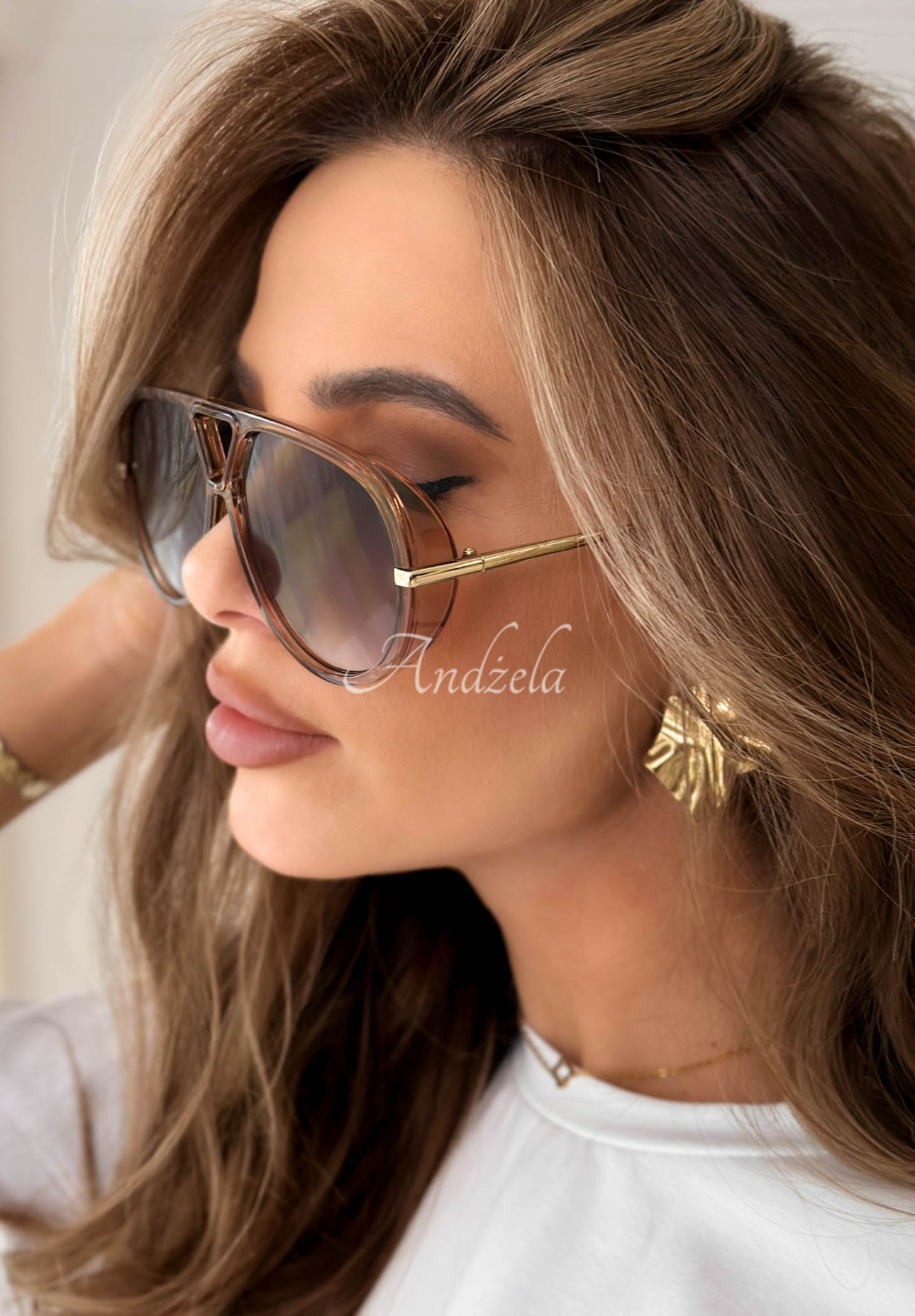 Sluneční brýle New Chicago hnědé